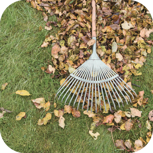 Gardening maintenance Accent Home Care (1)