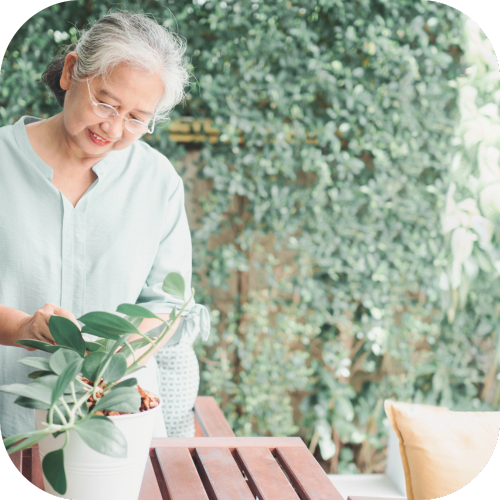 Gardening maintenance Accent Home Care