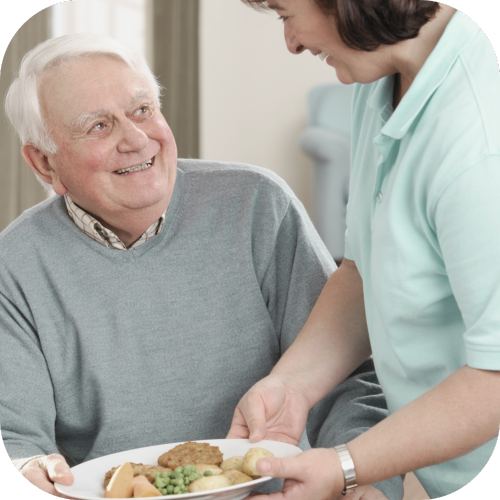 Shopping and meal preparation services   Accent Home Care (2)
